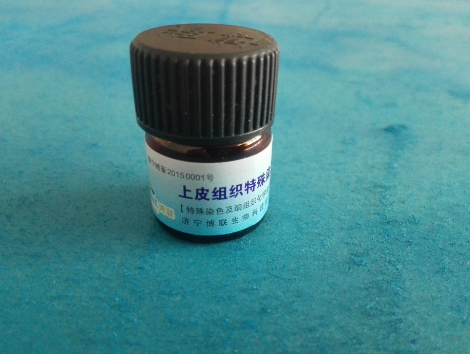 上皮组织特殊染色液 上皮组织特殊染色液